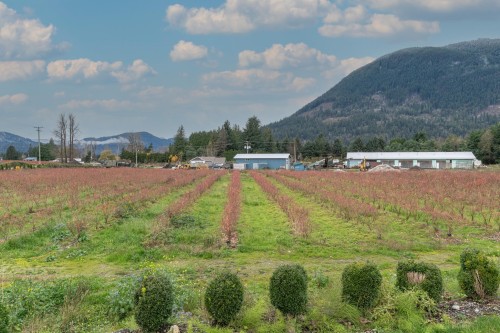8528 Sylvester Road, Mission, BC 