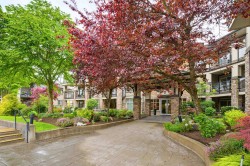 306-15195 36 Avenue Surrey, BC V3Z 4R3