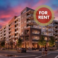 331-20769 Fraser Highway  Langley, BC V4W 3N5