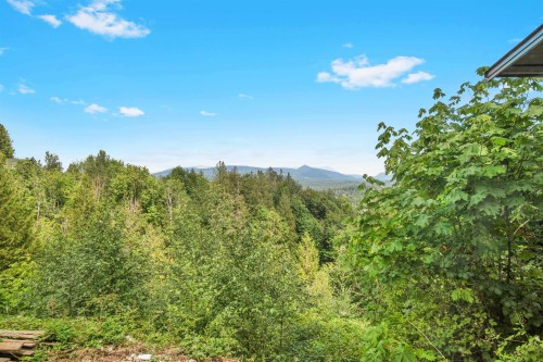 29399 Marsh Mccormick Road, Abbotsford, BC 