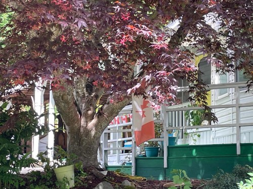 89-43201 Lougheed Highway, Mission, BC 