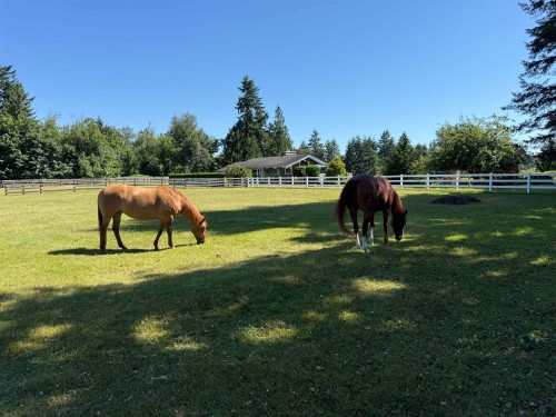 25177 64 Avenue, Langley, BC 