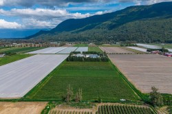 3387 Tolmie Road Abbotsford, BC V3G 2T9