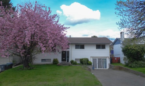 11064 Swan Crescent, Surrey, BC - Outdoor