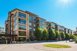 325-8218 207a Street Langley, BC V2Y 0X9