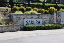 15-15688 28 Avenue Surrey, BC V3Z 0N1