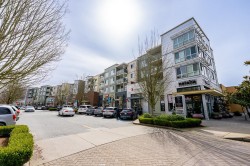 218-15735 Croydon Drive Surrey, BC V3Z 2L5