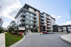 #B204-20834 80th Avenue Langley, BC V2Y 3M5
