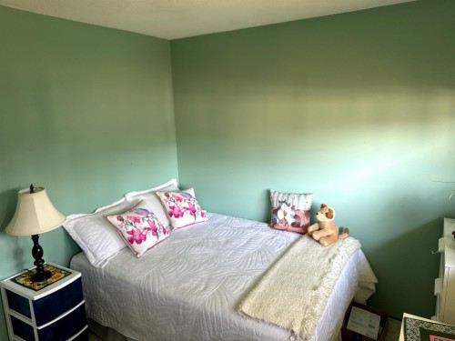 4545 208 Street, Langley, BC 