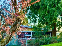 990 Balsam Street  White Rock, BC V4B 4J1