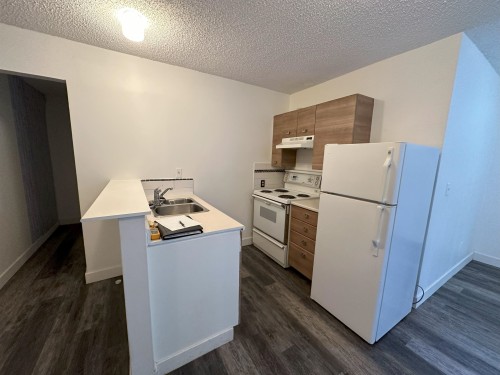 17723 96 Avenue, Surrey, BC - Indoor Photo Showing Kitchen With Double Sink