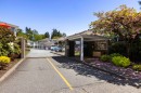 241-7156 121 Street, Surrey, BC 