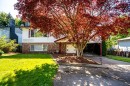 8771 Shepherd Way, Delta, BC 