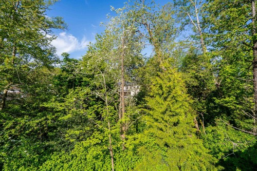 16908 1 Avenue, Surrey, BC 