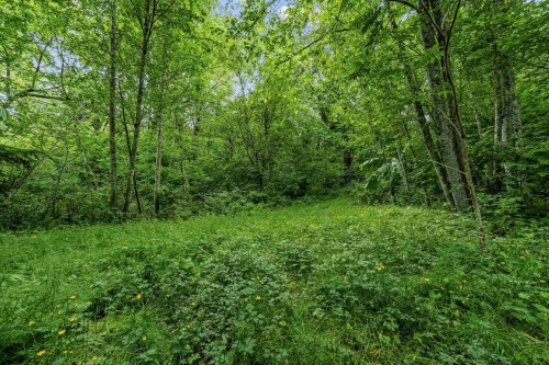 4556 Charlie Spruce Place, Abbotsford, BC 