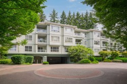 311-9018 208 Street Langley, BC V1M 2Y8