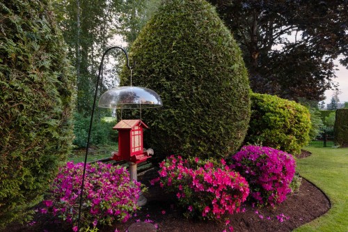 3733 Devonshire Drive, Surrey, BC 