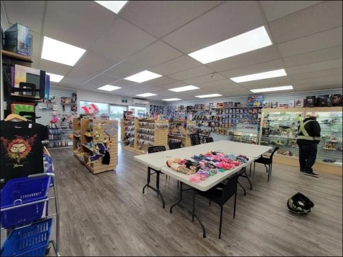 2993 272 Street, Langley, BC 