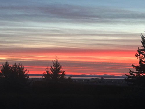 Lot #2-11990 Clark Drive, Delta, BC 