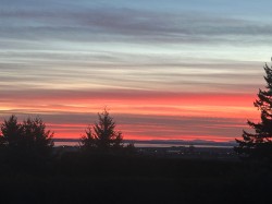 Lot #2-11990 Clark Drive Delta, BC V4E 1A6