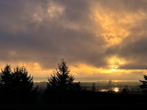 Lot #2-11990 Clark Drive, Delta, BC 