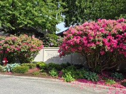 127-1770 128 Street Surrey, BC V4A 8V2