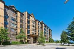 228-8157 207 Street Surrey, BC V2Y 0V3