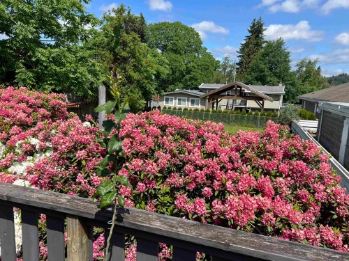 32173 Scott Avenue, Mission, BC 
