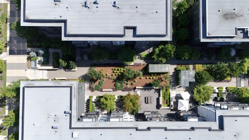 304-13963 105 Boulevard, Surrey, BC 