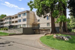310-9635 121 Street Surrey, BC V3V 7L8
