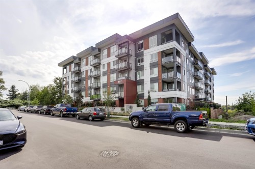 217-8117 200a Street  Langley, BC V2Y 3W9