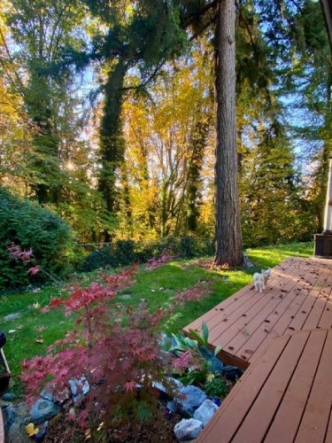 10987 Collings Place, Delta, BC 