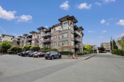 310-33538 Marshall Road Abbotsford, BC V2S 0C7