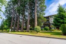 311-16068 83 Avenue, Surrey, BC 