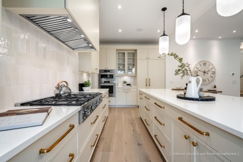 20345 41A Avenue, Langley, BC - Indoor Photo Showing Kitchen With Upgraded Kitchen