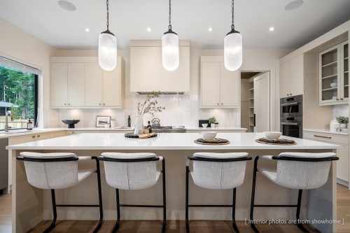 20345 41A Avenue, Langley, BC - Indoor Photo Showing Kitchen With Upgraded Kitchen