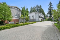11-9718 161a Street Surrey, BC V4N 6S7