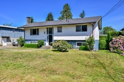 13095 103a Avenue Surrey, BC V3T 1S4