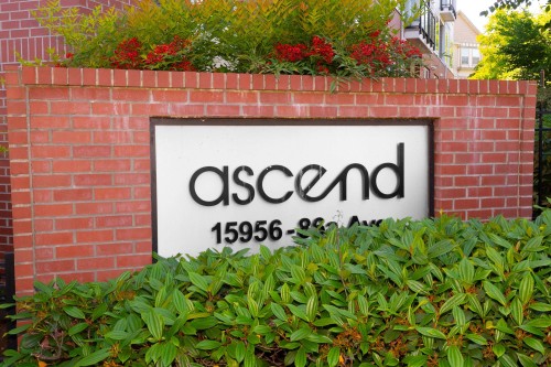 304-15956 86a Avenue  Surrey, BC V4N 6N8