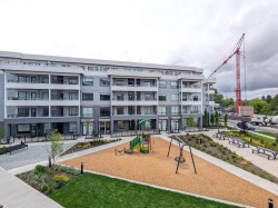 2XX-6270 Gooseberry Dr Drive Surrey, BC V3S 0C8