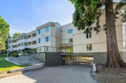 304-9635 121 Street Surrey, BC V3V 7L8