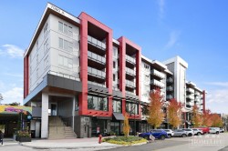 614-7980 206a Street Langley, BC V2Y 3Z8