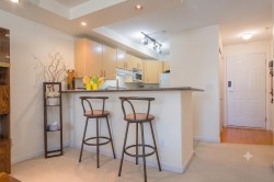 303-20200 56 Avenue  Langley, BC V3A 8S1