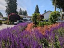 114-32880 Bevan Way, Abbotsford, BC 