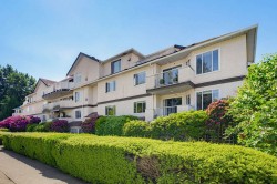 101-20064 56 Avenue Langley, BC V3A 3Y4