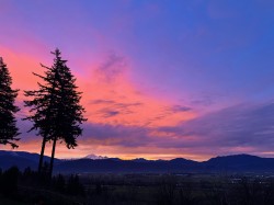 72-35287 Old Yale Road Abbotsford, BC V3G 8H5