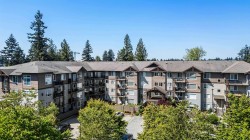 205-2581 Langdon Street Abbotsford, BC V2T 7A3