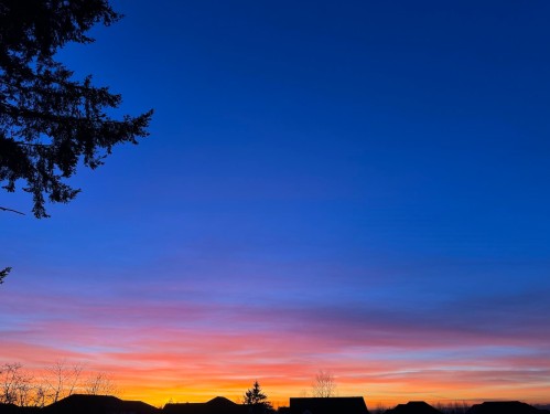 41-20321 80 Avenue, Langley, BC - Outdoor With View