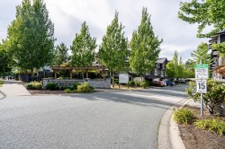 58-18199 70 Avenue Surrey, BC V3S 2N9