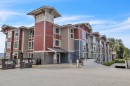 115-2242 Whatcom Road, Abbotsford, BC 